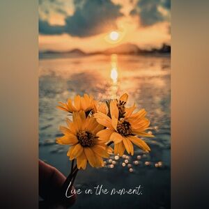 Extra Shipping Label